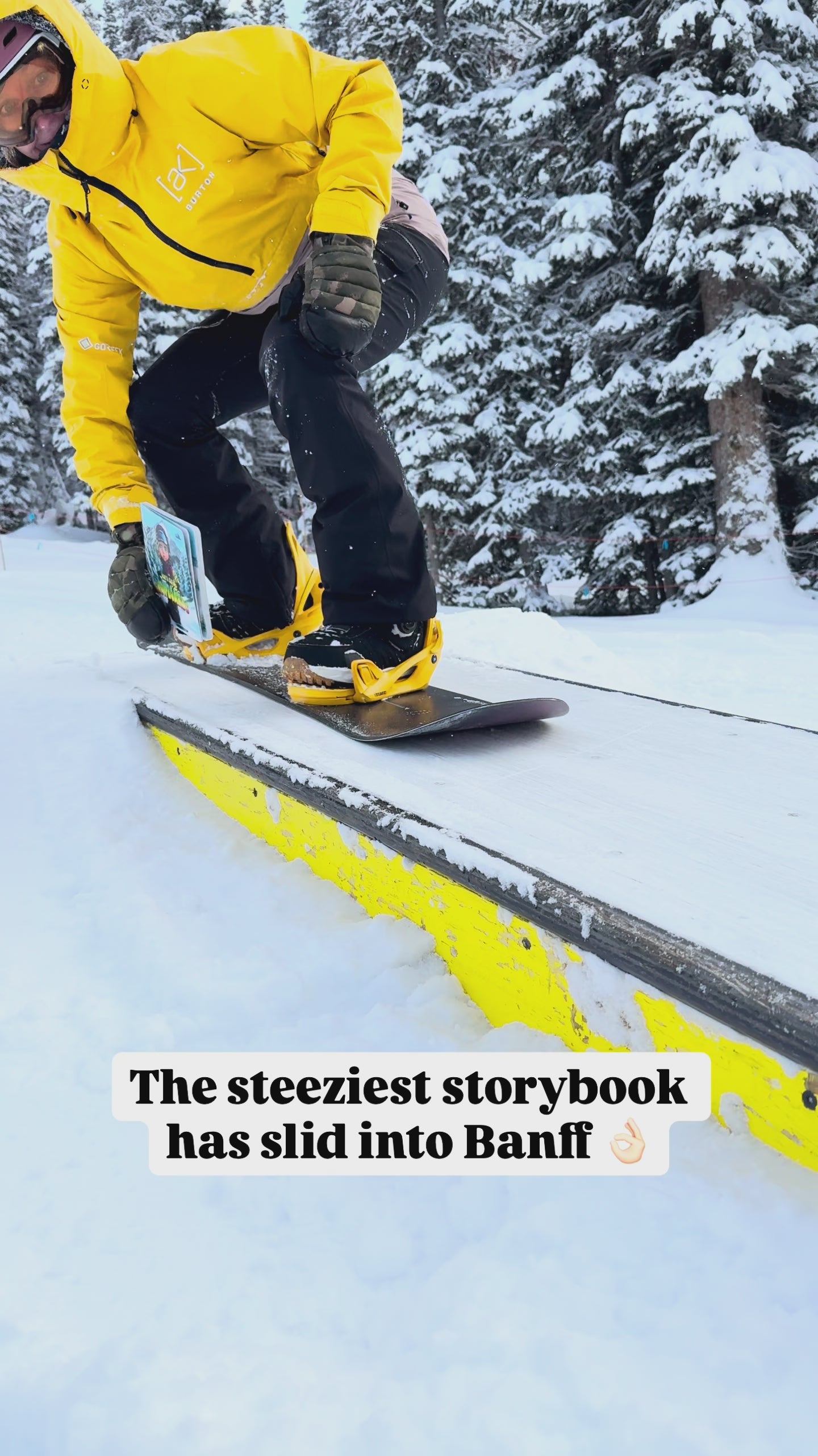 Rok’n Crew Snowboards Children's Book